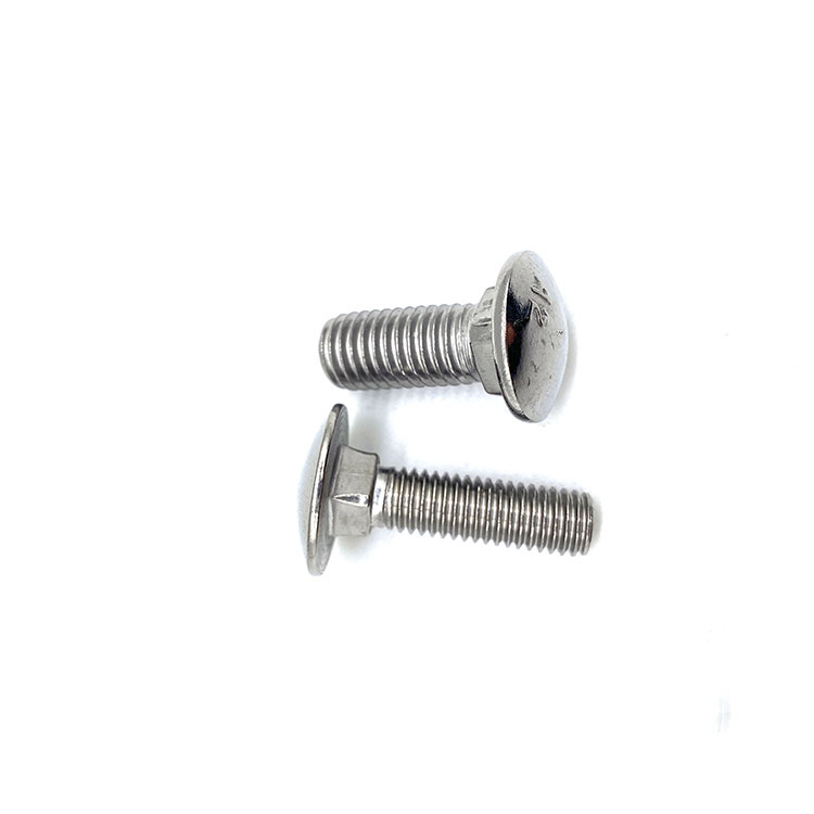 M6 M10 DIN603 INOX A4 nerjaveče jeklo 314 316 INOX A2 vijak z nosilcem